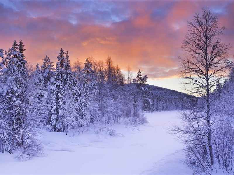 唯美森林雪景自然风景ipad壁纸下载