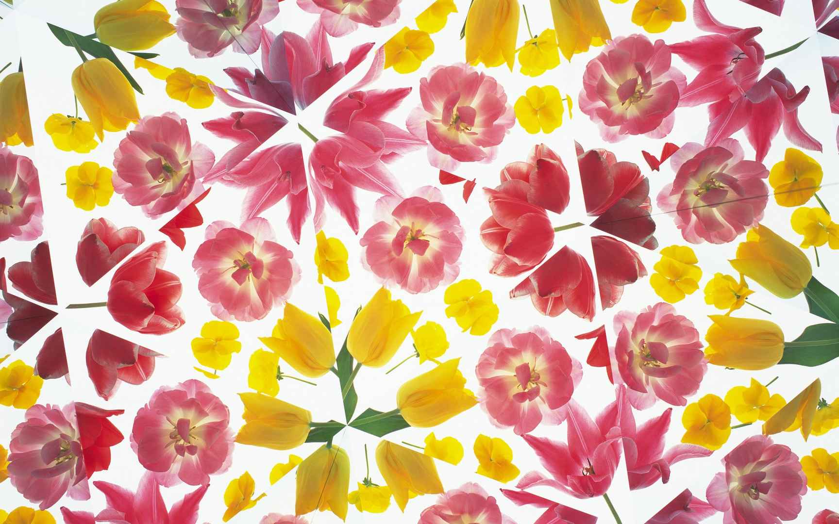 植物花卉背景图片素材