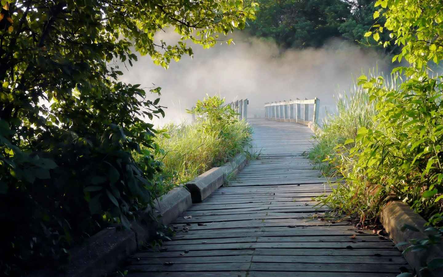 IMAC自然风景桌面壁纸