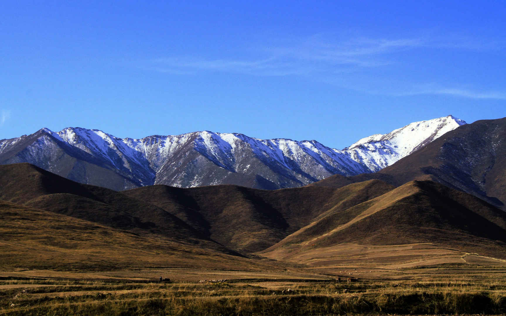 甘肃兰州白塔山风景壁纸