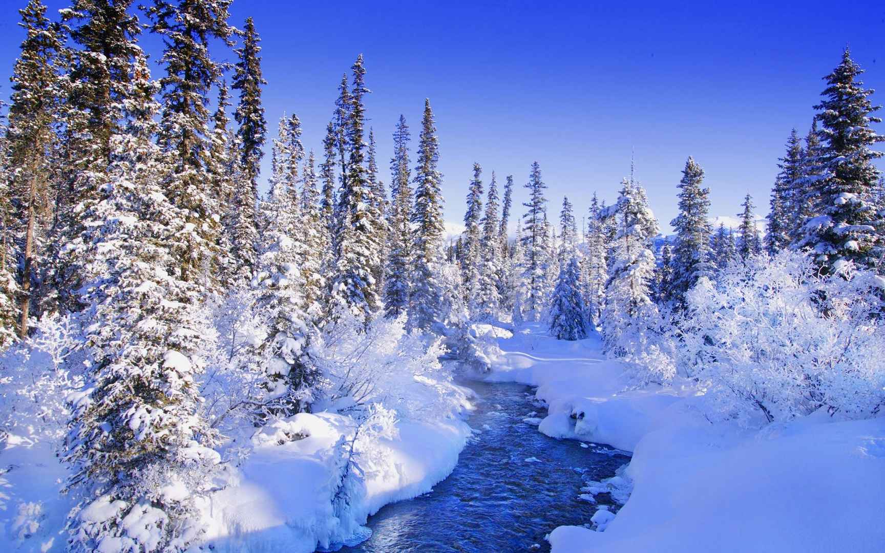 冬季漫天飞雪雪景图片