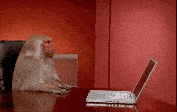 猴子把笔记本电脑推到地下去了。。。