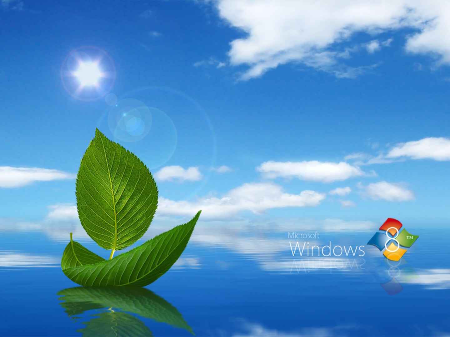 windows8高清桌面壁纸