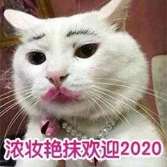 浓妆艳抹欢迎2020