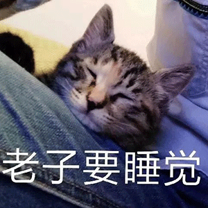 可爱猫咪累了：我要睡觉了
