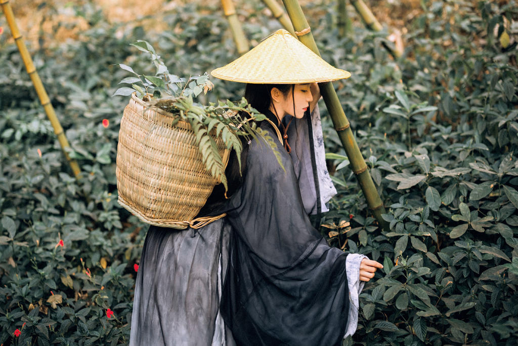 英姿飒爽的禁欲系女道士竹林里冷淡清幽古装