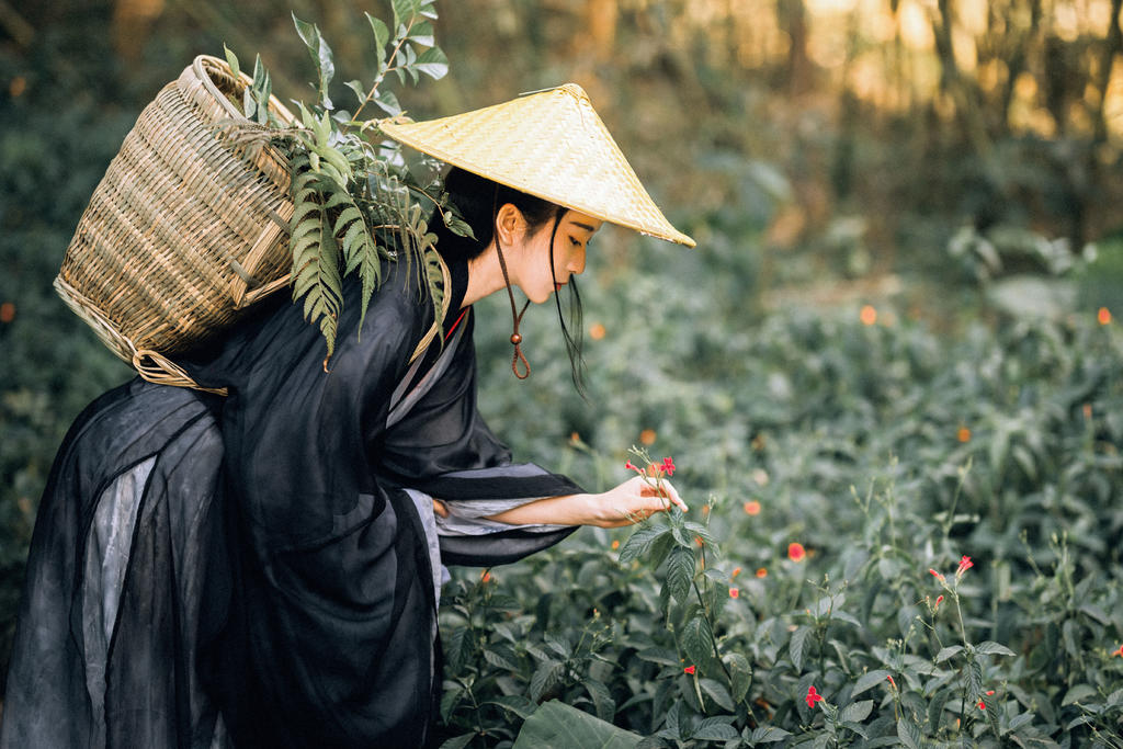 英姿飒爽的禁欲系女道士竹林里冷淡清幽古装