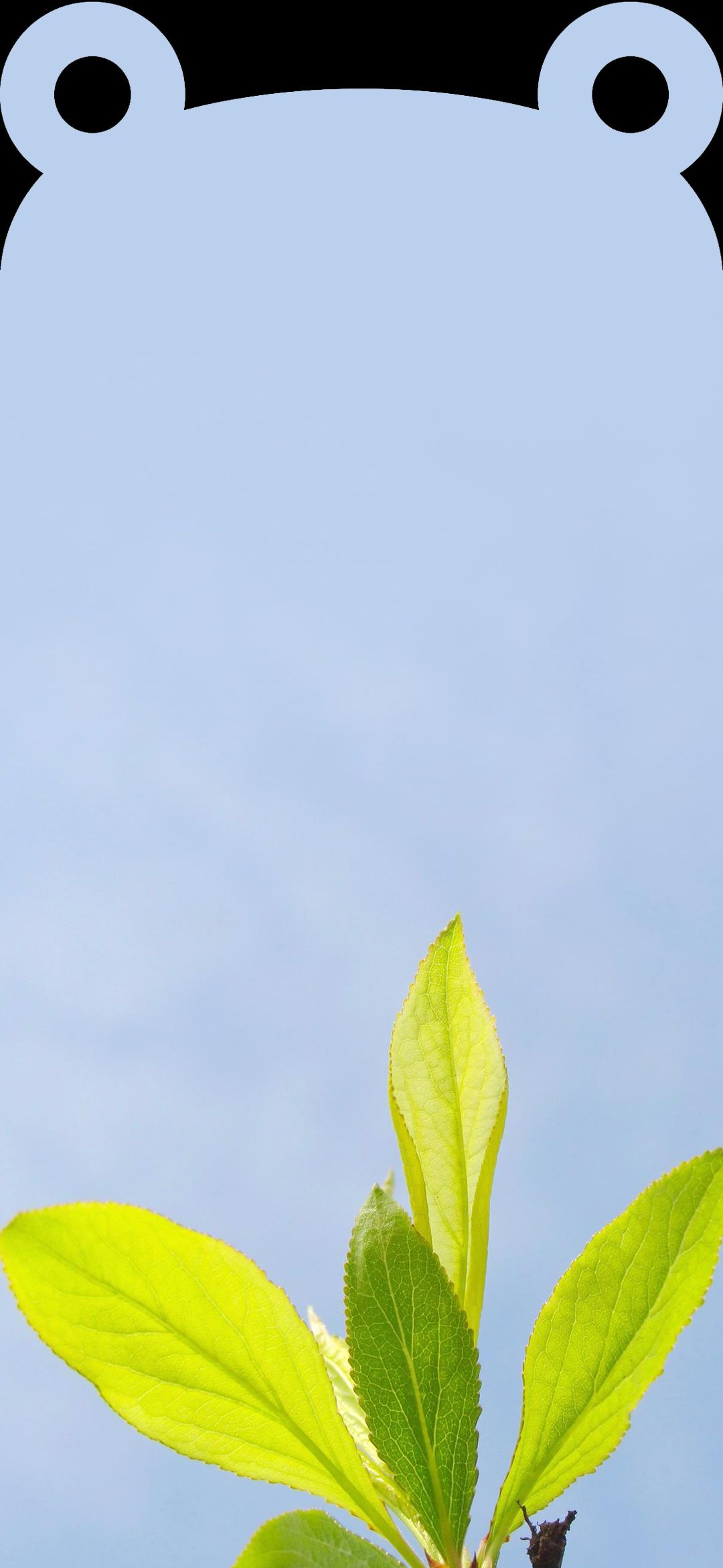 全面屏超清手机壁纸：遮刘海个性耳朵壁纸！