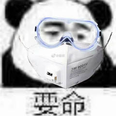 熊猫头戴口罩系列表情包