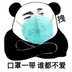 熊猫头戴口罩系列表情包
