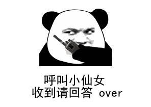 熊猫表情：今晚蹦迪，今晚蹦迪，收到请回答，over！
