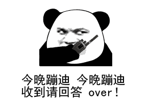 熊猫表情：今晚蹦迪，今晚蹦迪，收到请回答，over！