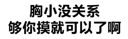 纯文字表情：胸小没关系 够你摸就可以了啊