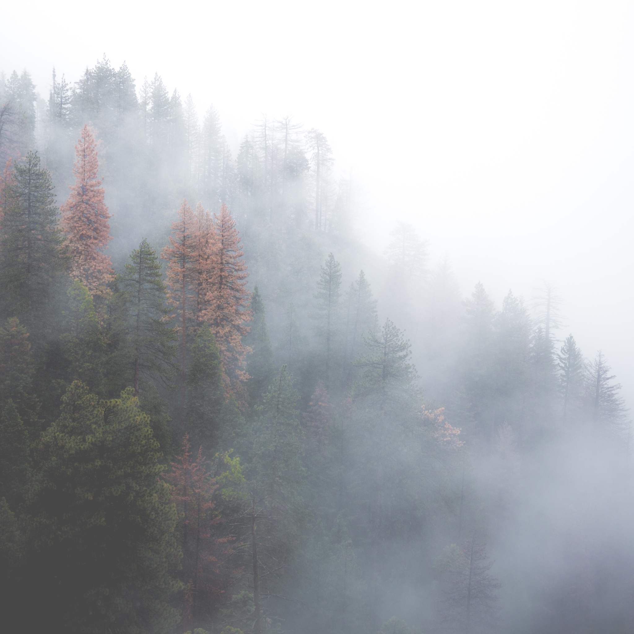 云雾缭绕自然景观iPad平板壁纸