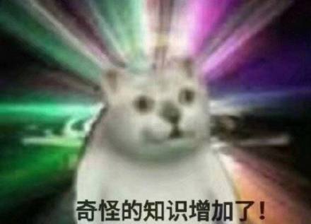 吃惊小猫表情