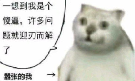 吃惊小猫表情