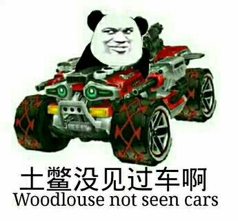 土鳖没见过车啊 Woodlouse not seen cars
