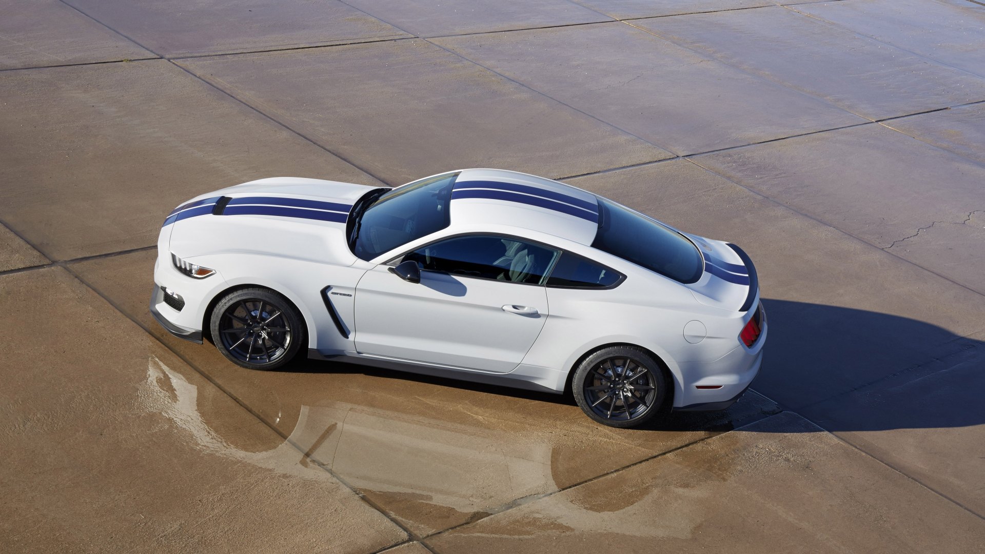 福特Shelby GT350汽车车图片