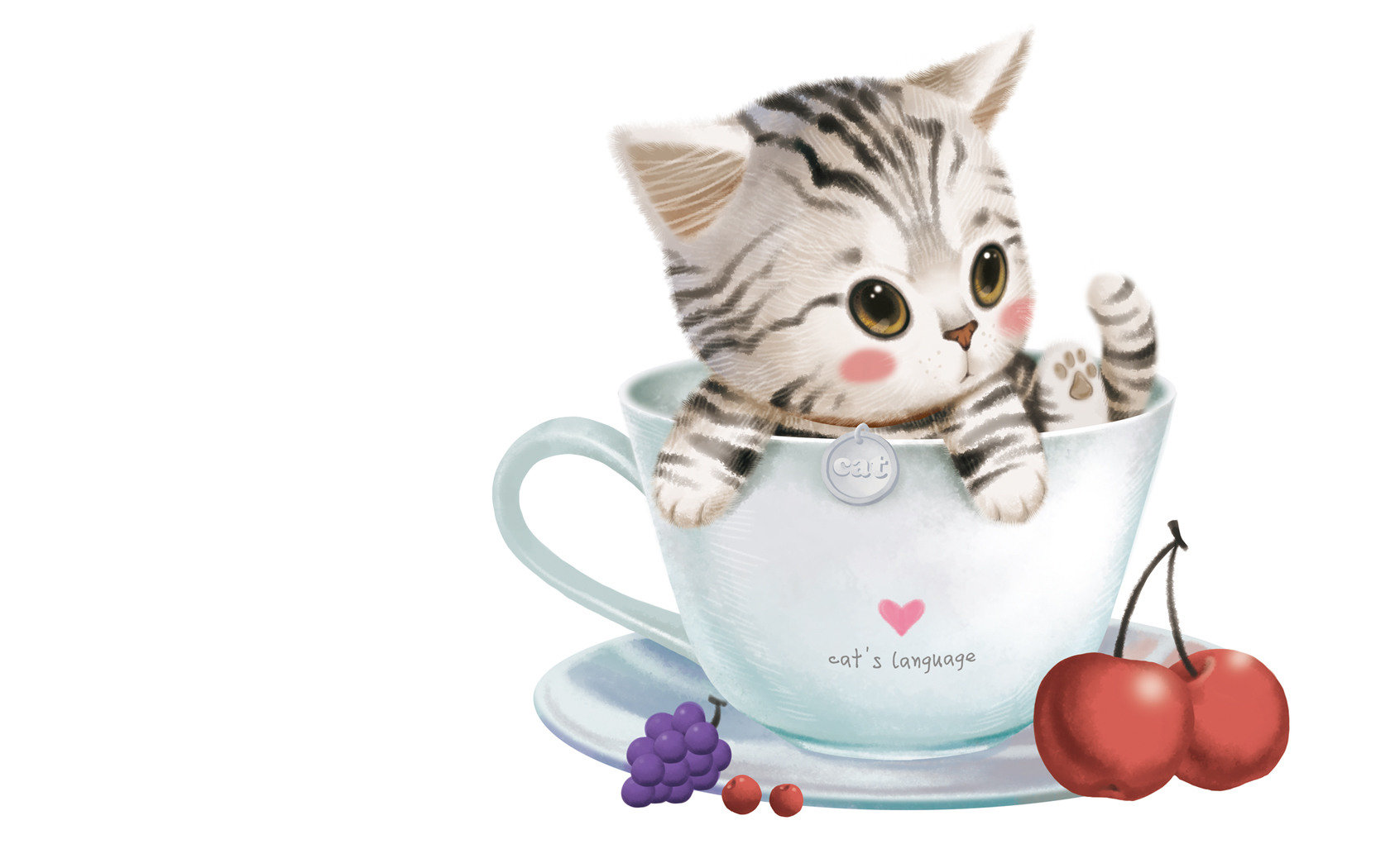 杯中可爱的小花猫图片