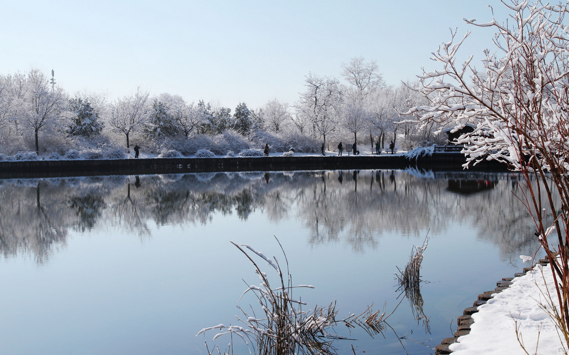 北京植物园雪景图片壁纸