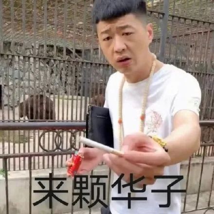 街溜子表情包：抽颗华子？