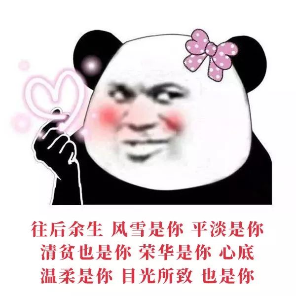 熊猫头古风情话表情包