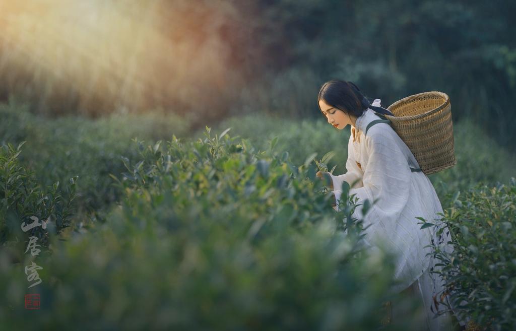 古装采茶女唯美仙气汉服图片