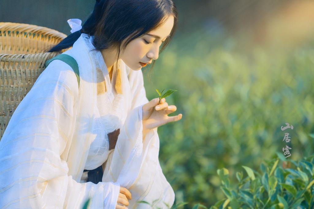 古装采茶女唯美仙气汉服图片