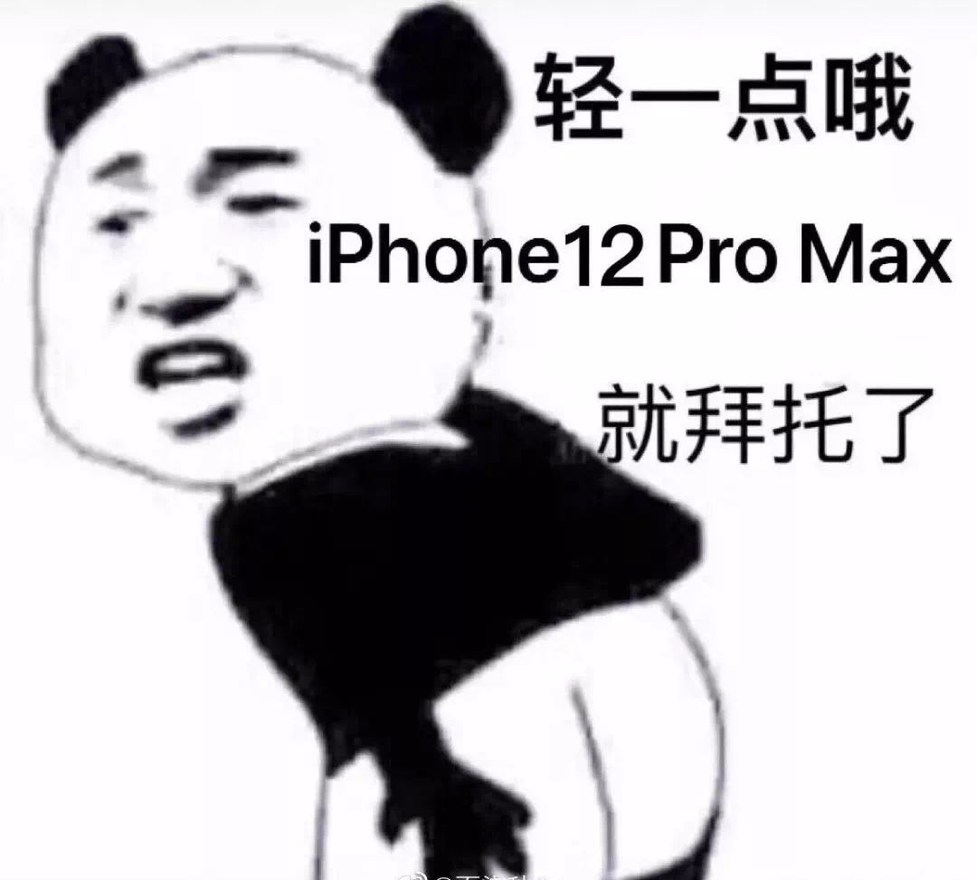 轻一点哦iPhone12 Pro Max 就拜托了