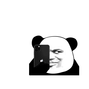 熊猫头手机拍照动态表情包