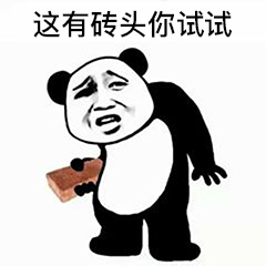 七彩砖头表情包：听说你们要打架？