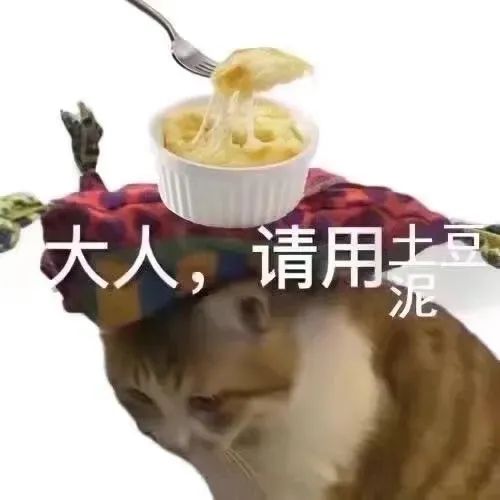 猫猫头顶美食表情包 大人，请慢用